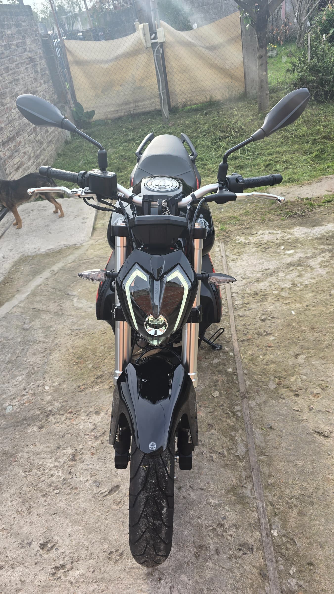 Benelli 302s - 2026 — foto 1 de 4