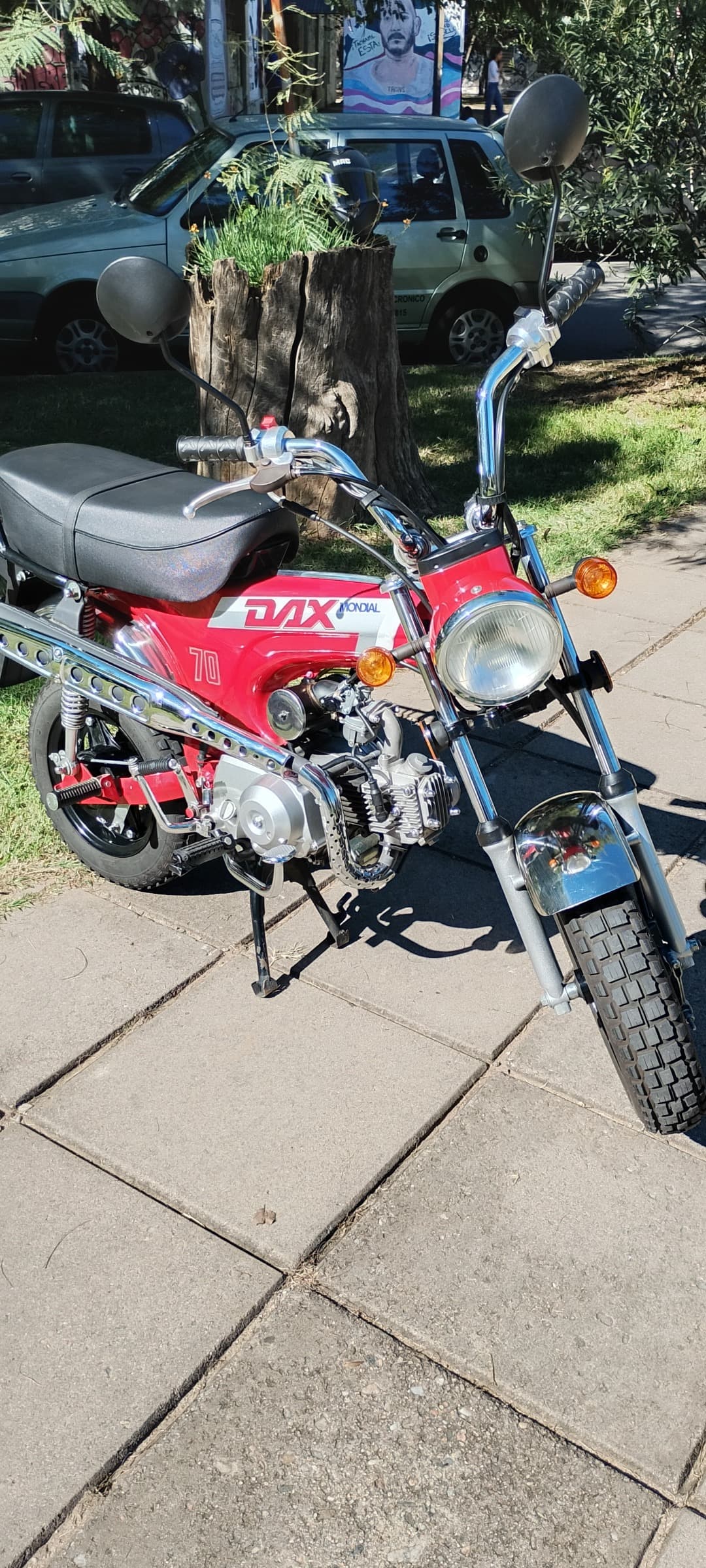 Mondial DAX 70 2023 — foto 1 de 5